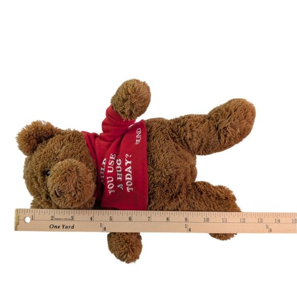 Gund Could You Use A Hug Brown Teddy Bear Plush #16999 Red Hoody 12" Stuffed Toy - Picture 6 of 6